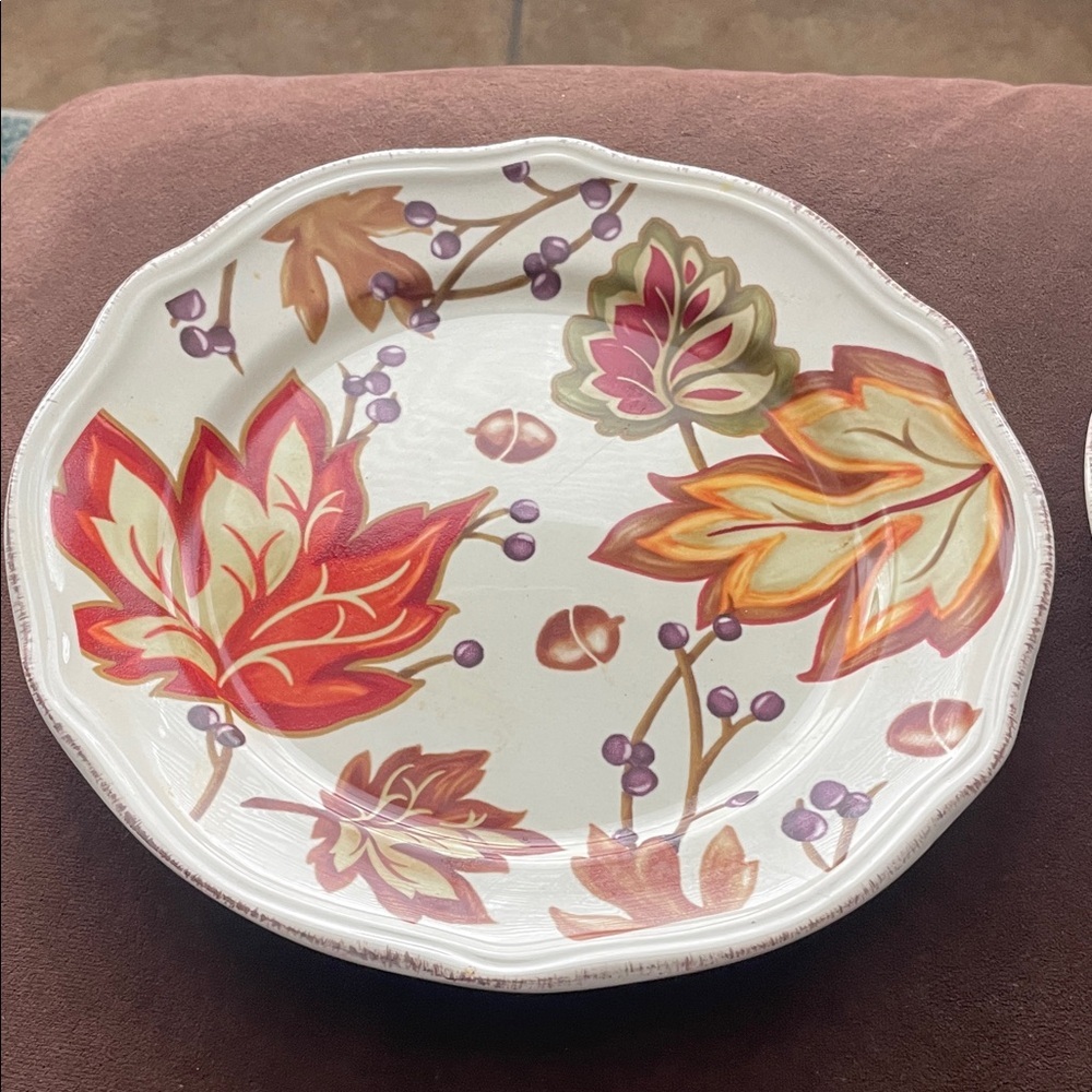 Two Autumn Leaf Pattern  Plates - Picture 2 of 6